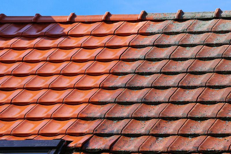Roof Cleaning And Moss Removal