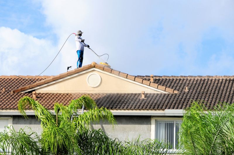 Roof Cleaning And Moss Removal