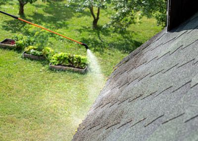 Roof Cleaning And Moss Removal
