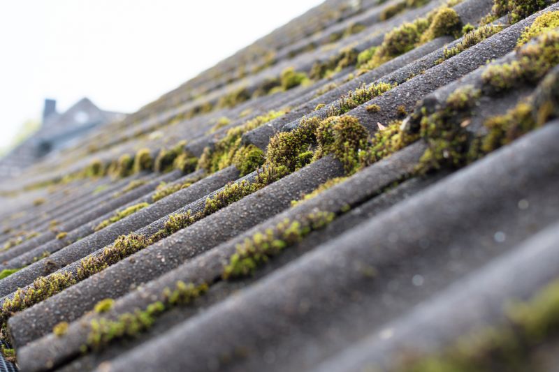 Roof Cleaning And Moss Removal