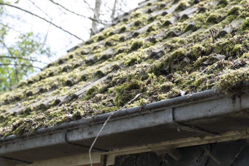 Roof Cleaning And Moss Removal
