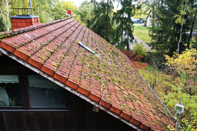 Roof Cleaning And Moss Removal