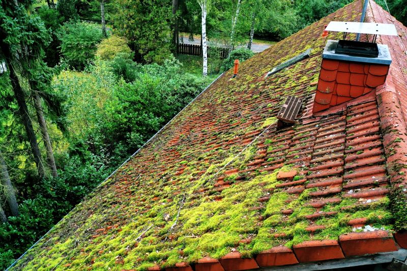 Roof Cleaning And Moss Removal