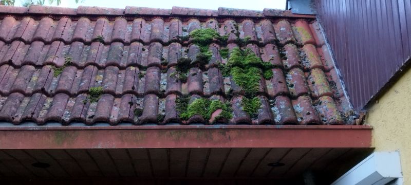 Roof Cleaning And Moss Removal