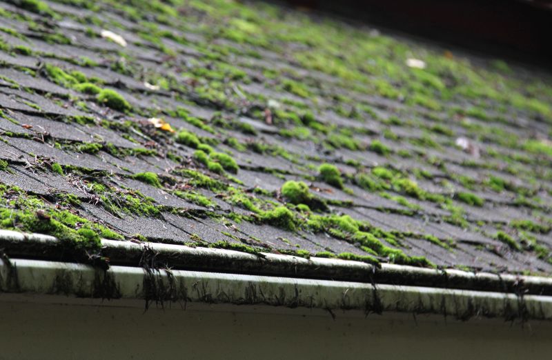 Post-Cleaning Roof