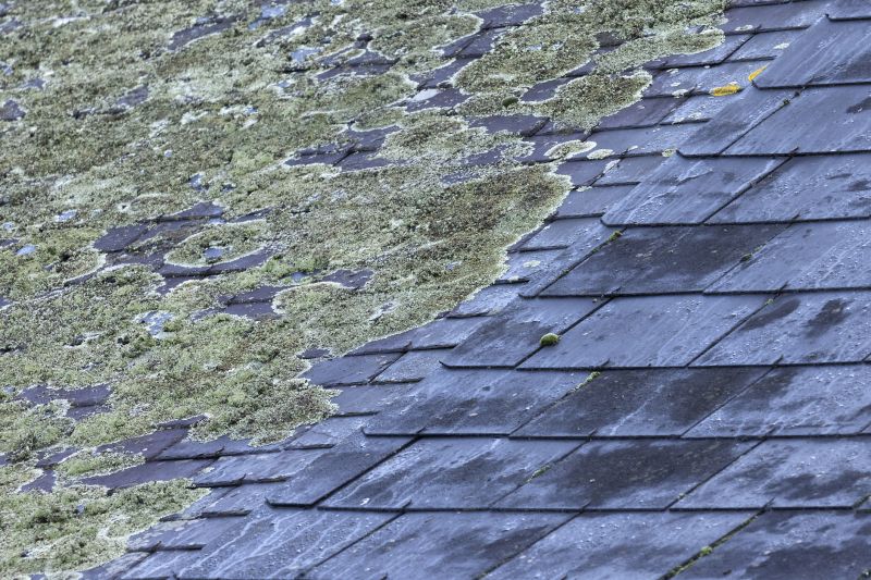 Healthy Roof Surface